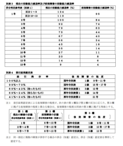 眼の障害　診断書